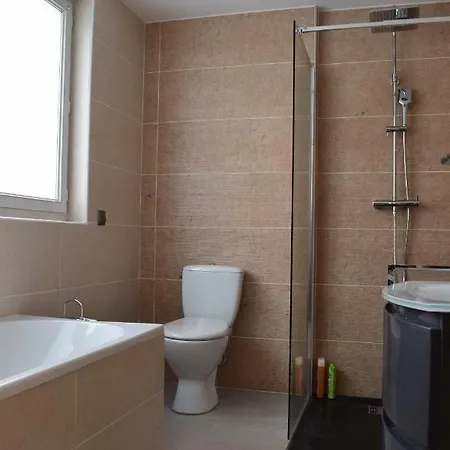 Apartment Loyoft Oyonnax